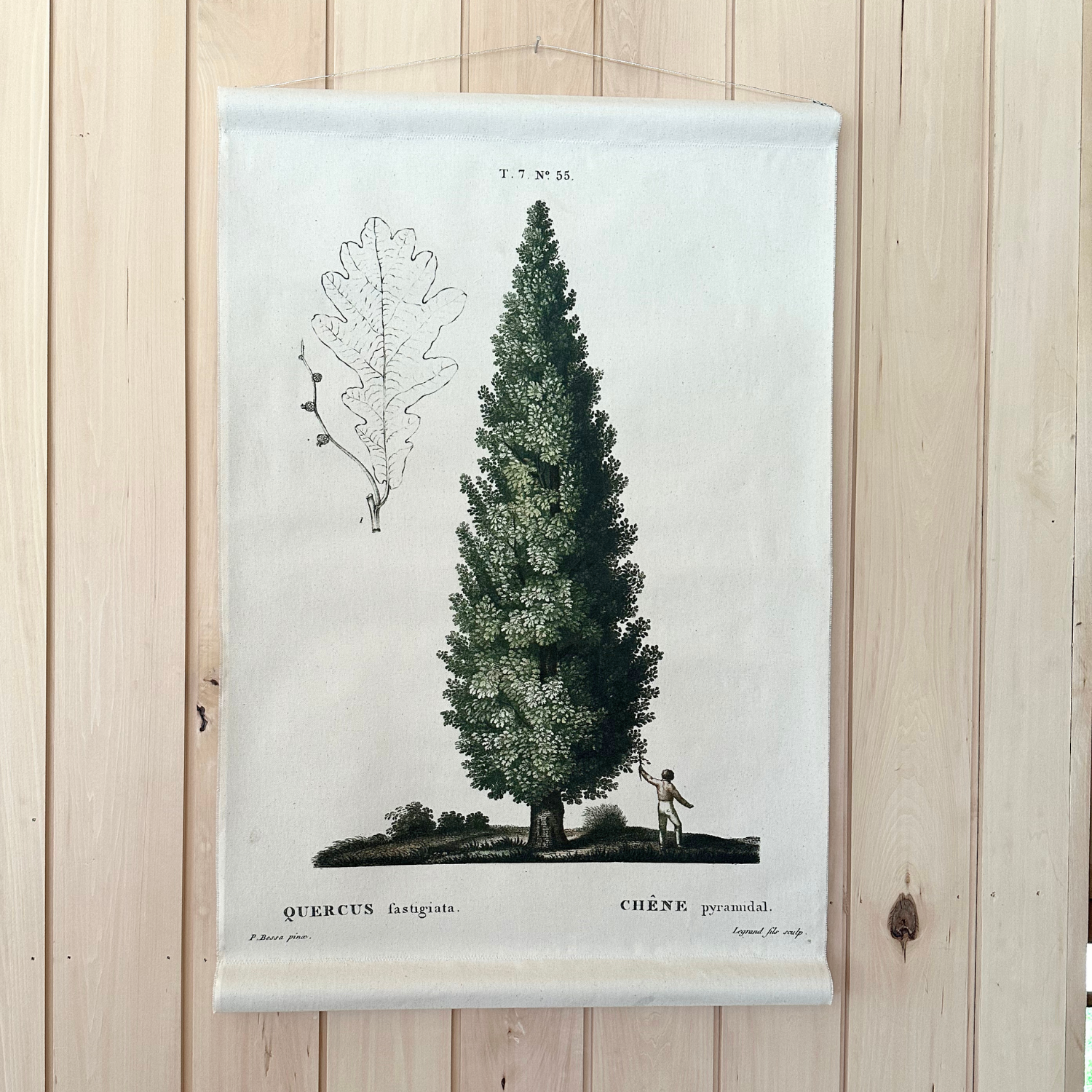 Canvas Wall Hanging - Cypress Tree